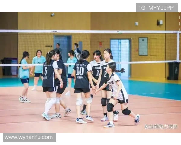 南京排球队技术实力强劲荣登全国排球技术排行榜第六名