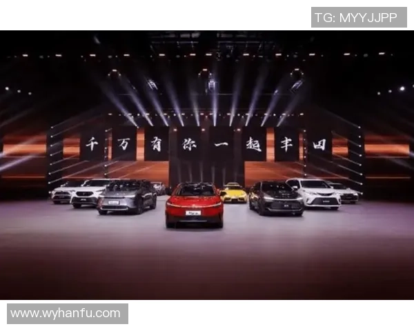 广州排球队征战洲际杯的拼搏历程与荣耀时刻回顾