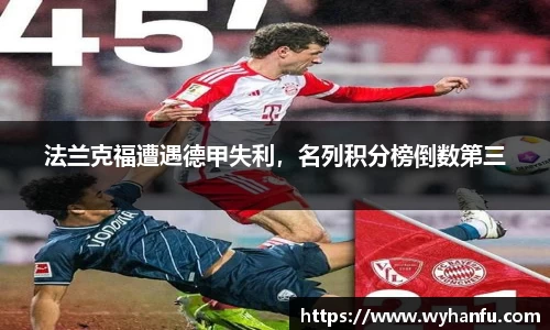 伟德bv国际体育
