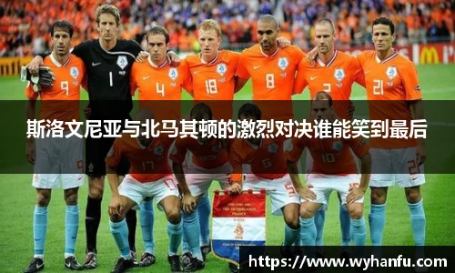 伟德bv国际体育