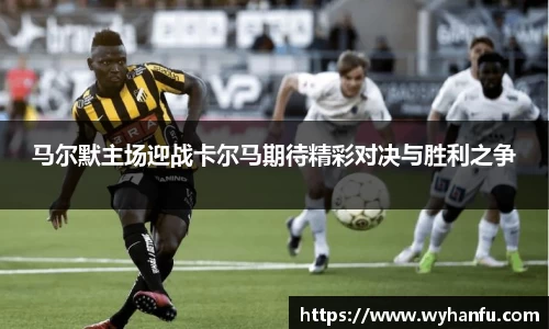 伟德bv国际