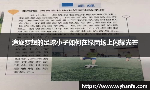 伟德bv国际体育