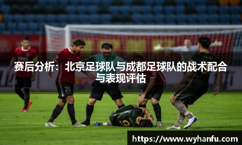 伟德bv国际