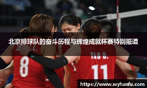 伟德bv国际体育